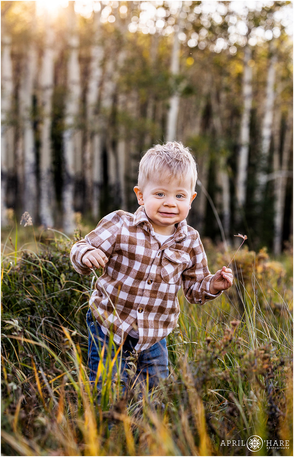 Cute young toddler boy during fall color family portraits in Evergreen Colorado