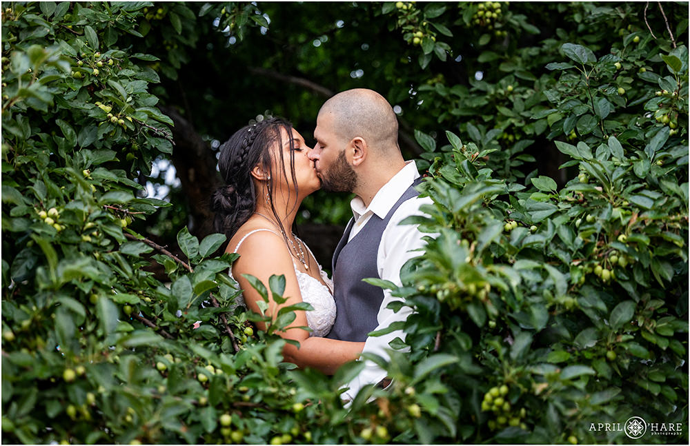Romantic portrait of bride and groom surrounded by tree branches and leaves at Wellshire Event Center