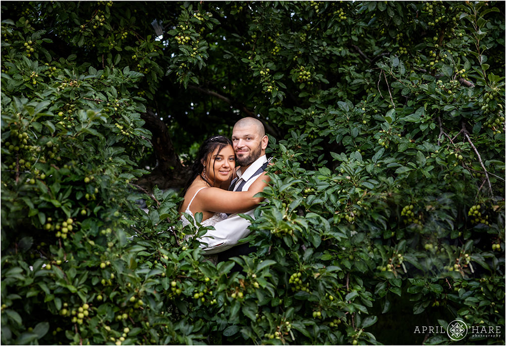 Beautiful portrait of a bride and groom surrounded by tree leaves and branches on their wedding day at Wellshire Event Center