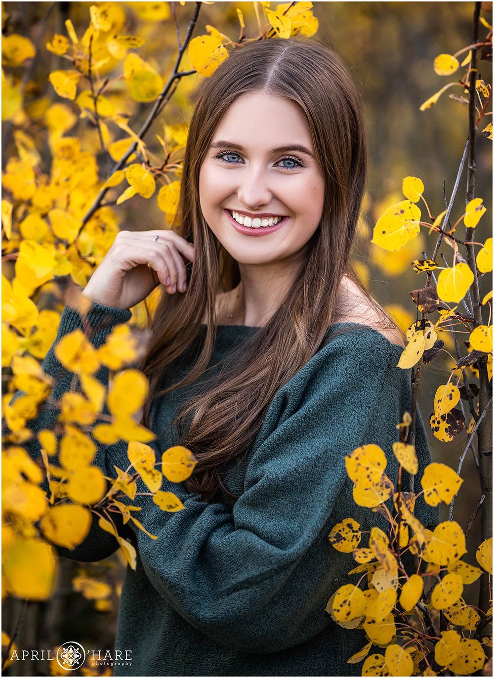 Beautiful high school senior yearbook headshot portrait in the pretty yellow aspen leaves during fall