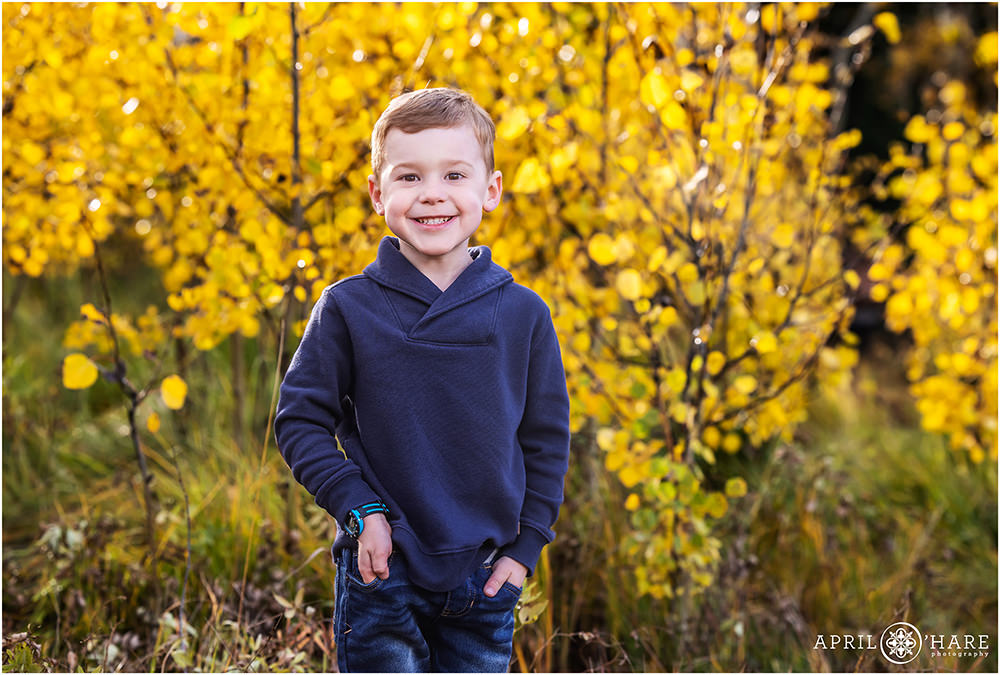 Sweet young boy wearing a blue hoodie stands in front of a pretty yellow aspen grove on Squaw Pass Road during fall
