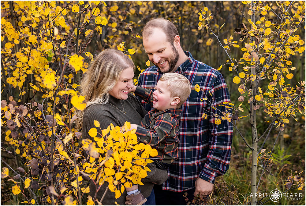 Pretty fall color family portrait isurrounded by aspen leaves in Colorado
