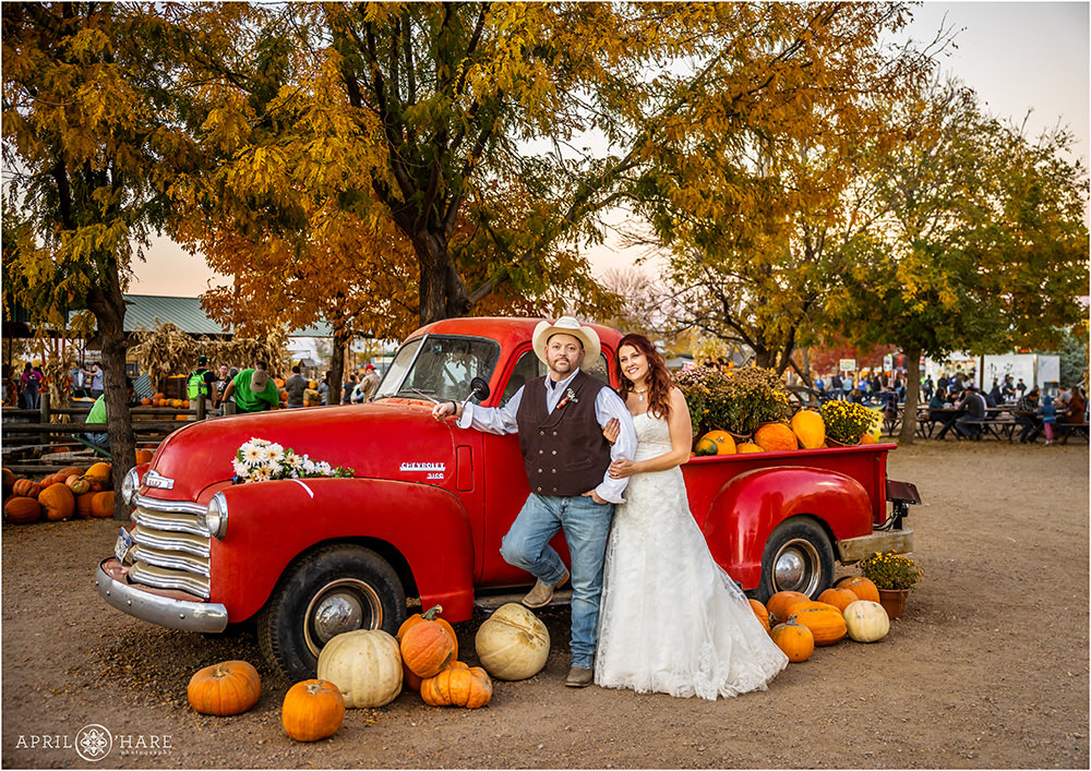 Couple gets wedding portraits created with vintage cherry red truck during fall with pumpkin decor at Anderson Farms in Erie Colorado