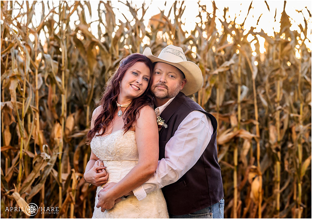 Couple gets their wedding portraits done with the corn maze backdrop at Anderson Farms in Colorado