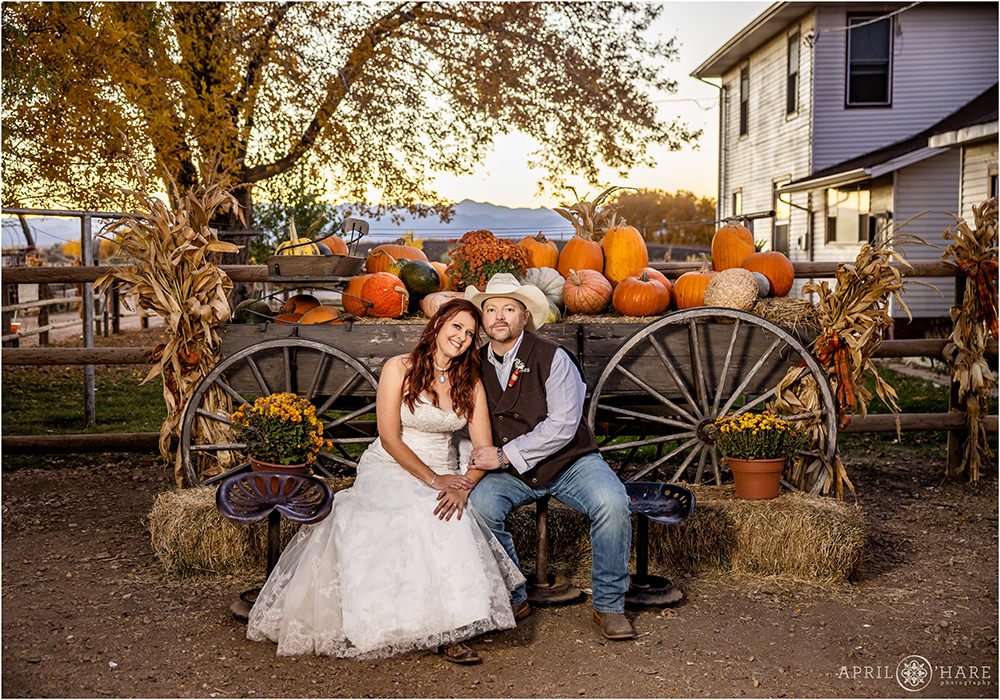 Couple wearing their wedding clothes pose with a cart full of pumpkins during the fall season at Anderson Farms in Colorado