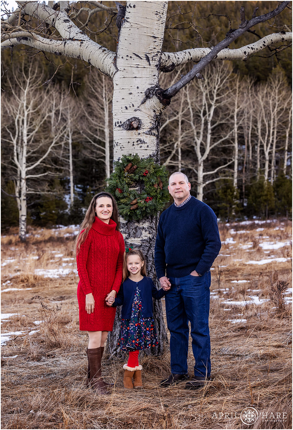 Christmas family portrait with a pretty wreath hanging on an aspen tree in Colorado