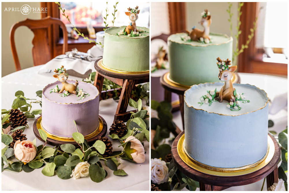 Detail photos of the Woodland Creatures Baby Shower Cakes created by Das Meyer at Lumber Baron Inn in Denver CO