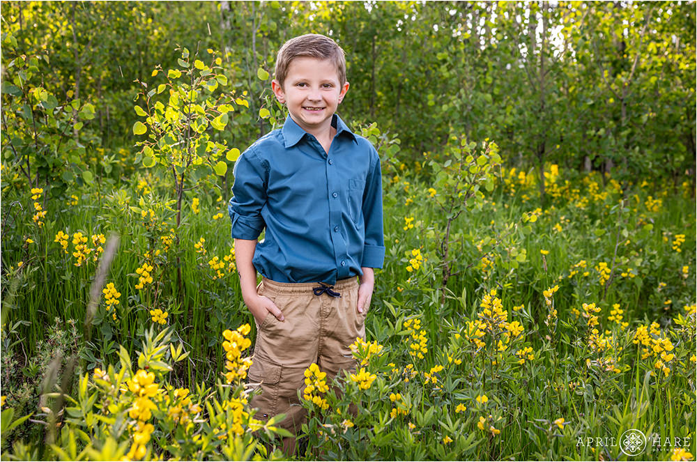 Boy wearing a blue button down shirt stands in the yellow wildflowers in a Colorado mountain meadow