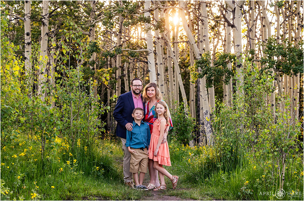 Cute family of four stand in an aspen tree grove with beautiful yellow wildflowers in Colorado
