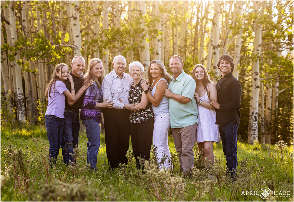 Extended family photos with sunshine filled aspen tree forest backdrop in Evergreen Colorado