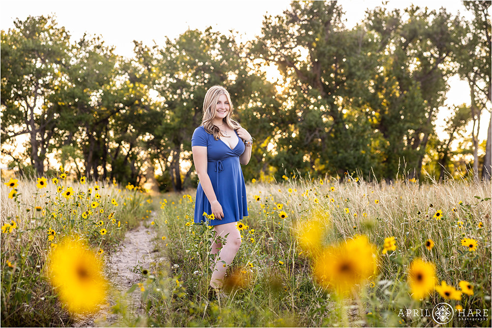 Gorgeous wild sunflower field for a senior portrait in Parker Colorado
