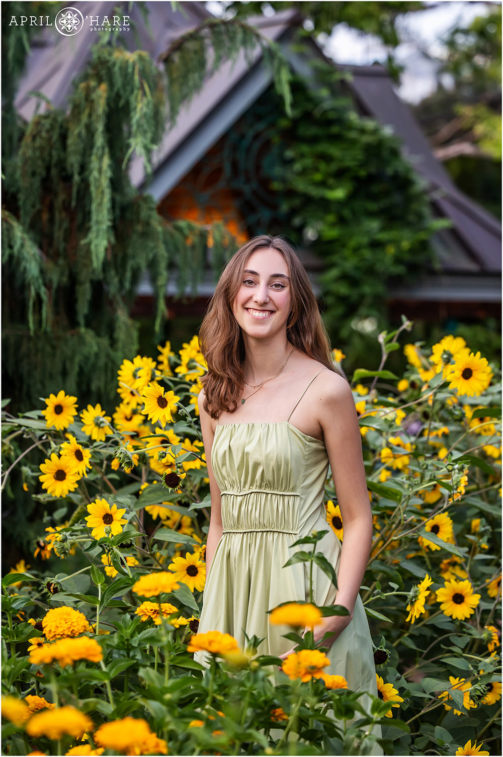 High school senior photo in the yellow sunflowers of Denver Botanic Gardens in Colorado