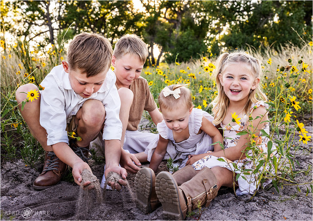 Candid photo of four young siblings playing in the sand in a wild sunflower field in Colorado