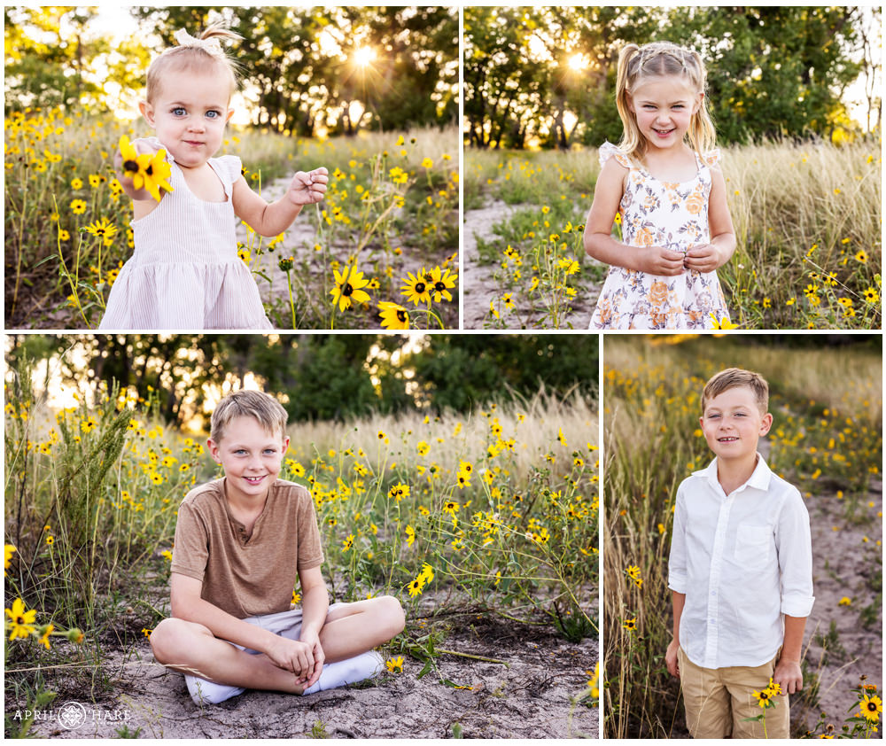 Adorable individual children's photos at a family session in a wild sunflower field in Parker Colorado