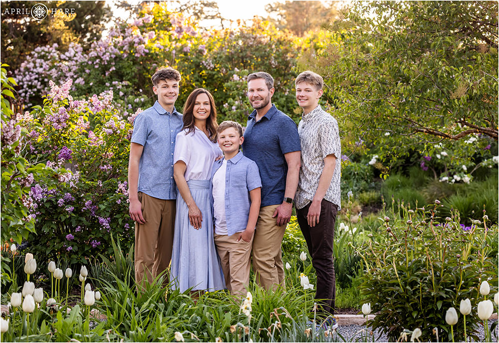 Spring Family Photos in the Lilacs at Denver Botanic Gardens