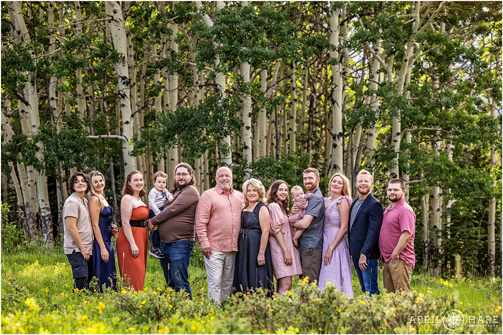 Beautiful extended family portrait in front of an aspen tree grove in a wildflower mountain meadow on Squaw Pass Road during summer
