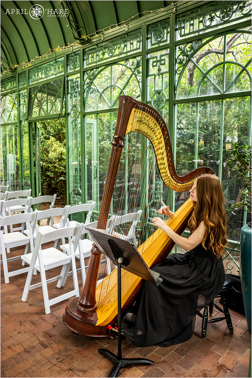 Harpist playing before the ceremony at Denver Botanic Gardens Woodland Mosaic Solarium glass greenhouse