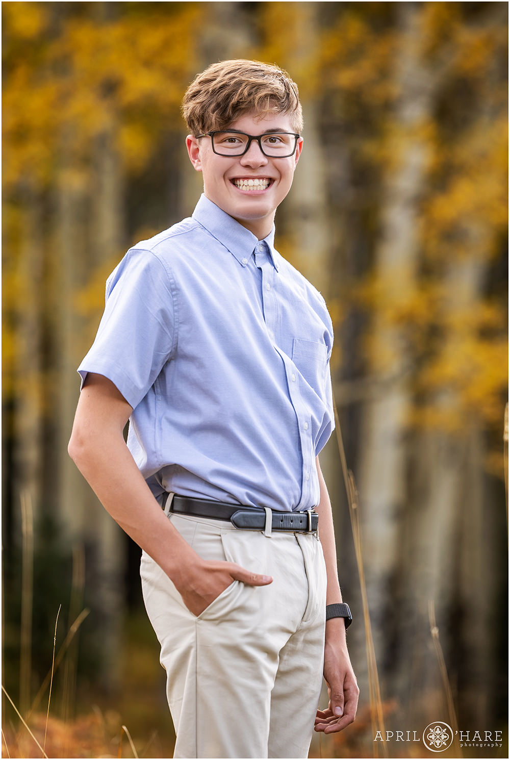 Senior Portrait with yellow fall color aspen tree backdrop in Evergreen CO